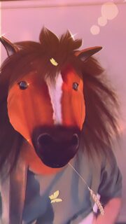 „Black Mustang I want to be your friend I wanna learn how to run fast and wild.“

Habt ihr den Song schon gehört? Findet ihr Elefanten und Wildpferde auch so toll?

#indiepop #elephant #newsong #blackmustang #septemberleaves #indiemusician